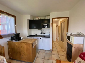 Studio cosy 4 pers, skis à 50m, parking, proche commerces - FR-1-733-28